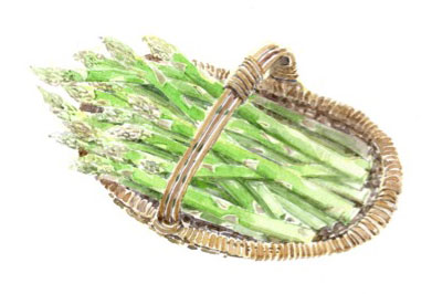 Garden Basket