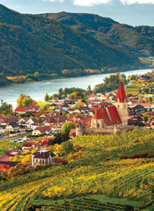 Wine long the Danube