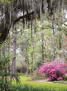 Charleston and Savannah