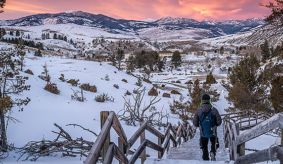 Wonderland: Yellowstone in Winter