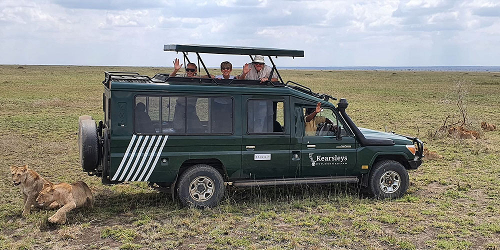 Viewing lions in the Serengeti