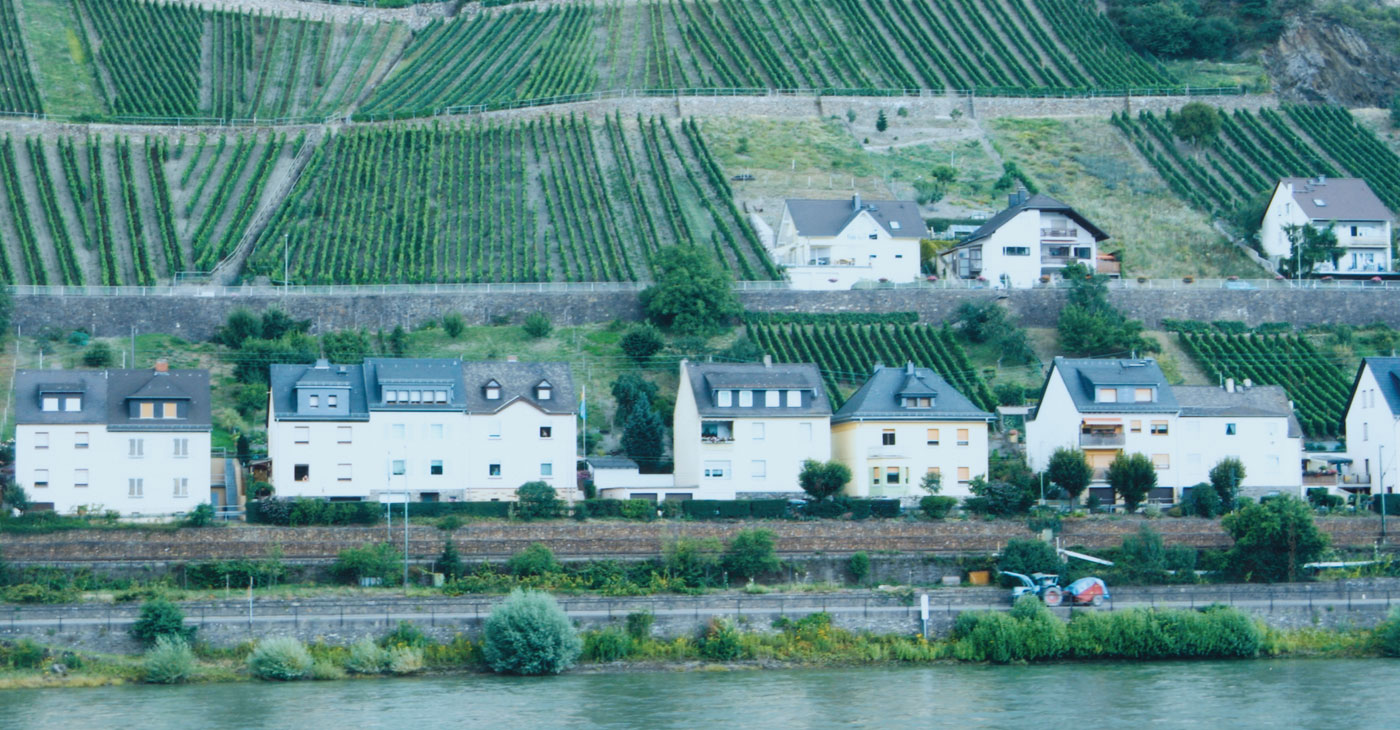 The Rhine &”Stripes of Green and Gray”