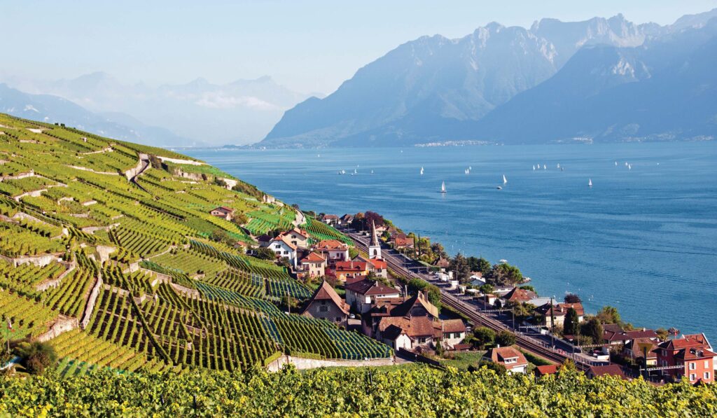 Rhine Connoisseur: Montreux to Brussels