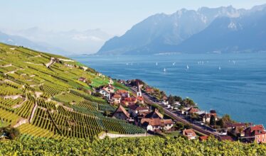 Rhine Connoisseur: Montreux to Brussels