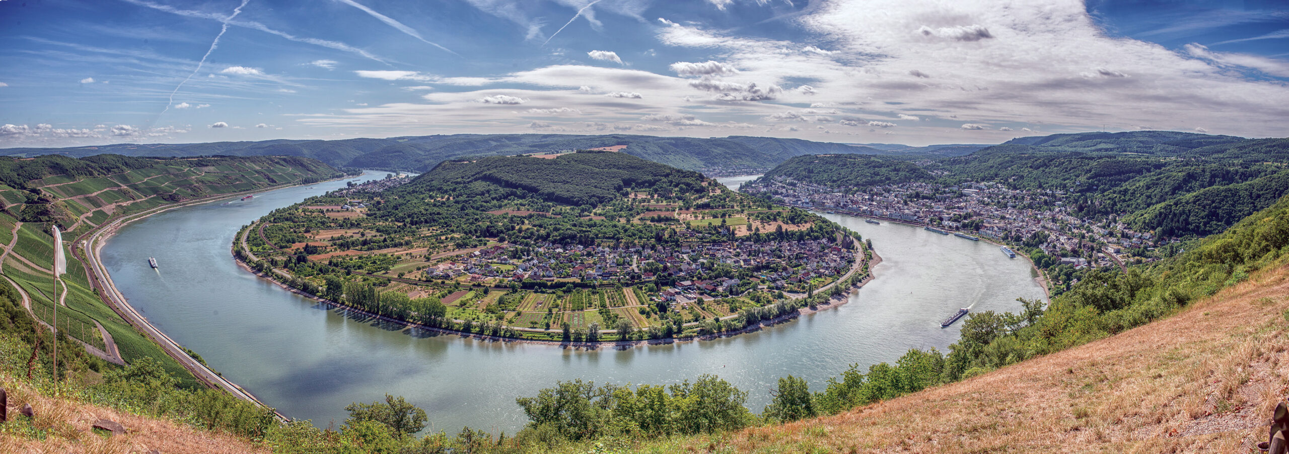 Which Rhine river cruise is right for you?