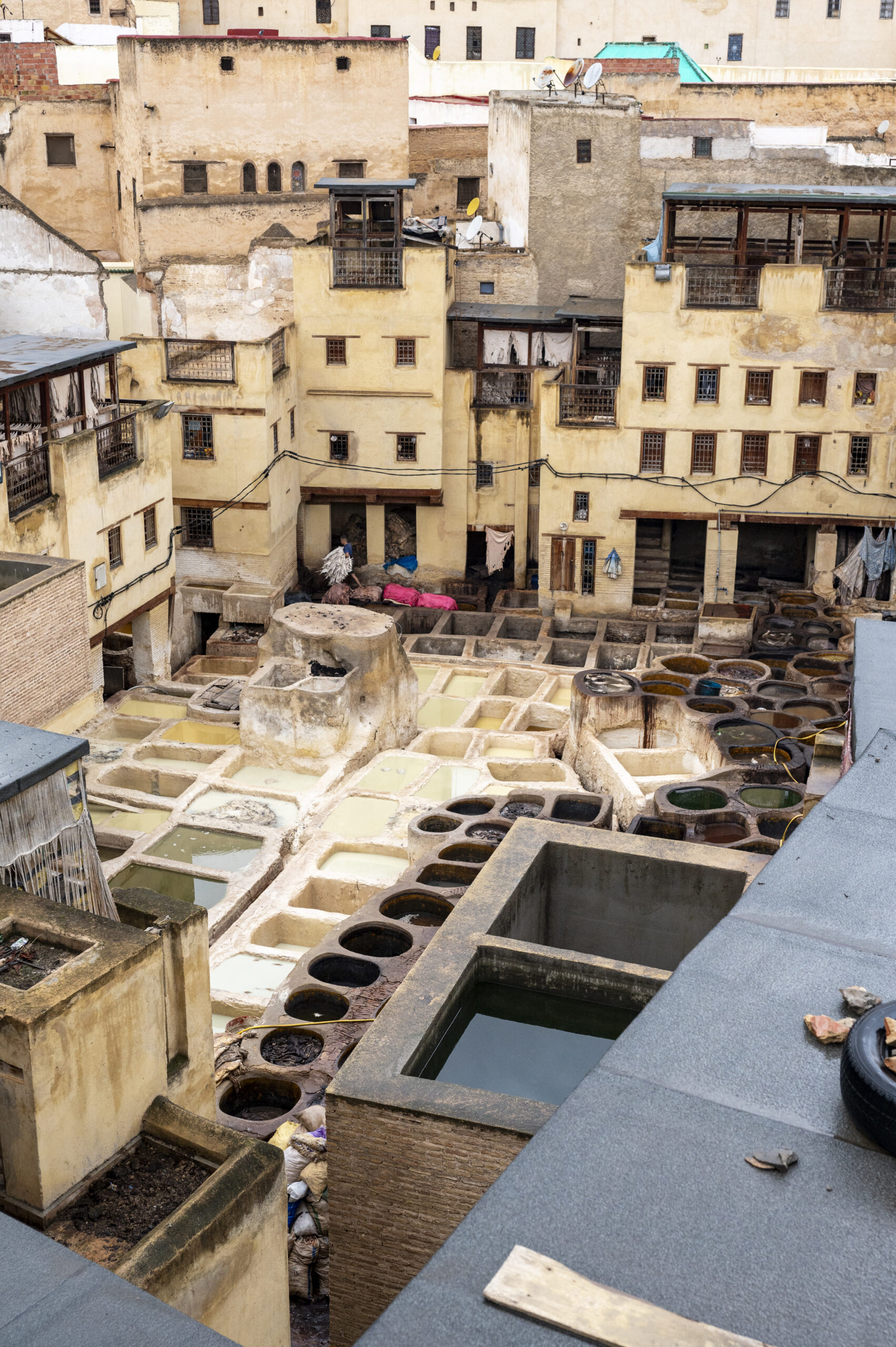 Leather Tannery Tour