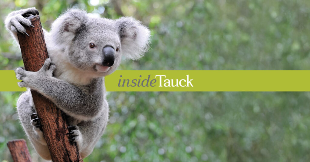 Tauck Australia