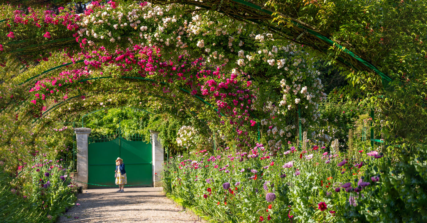 Monet's Gardens