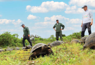 Galápagos Conservancy