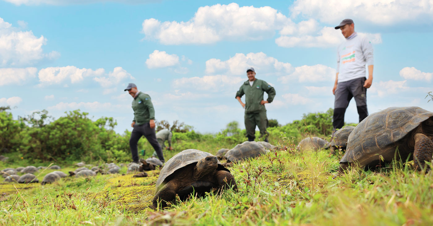Galápagos Conservancy